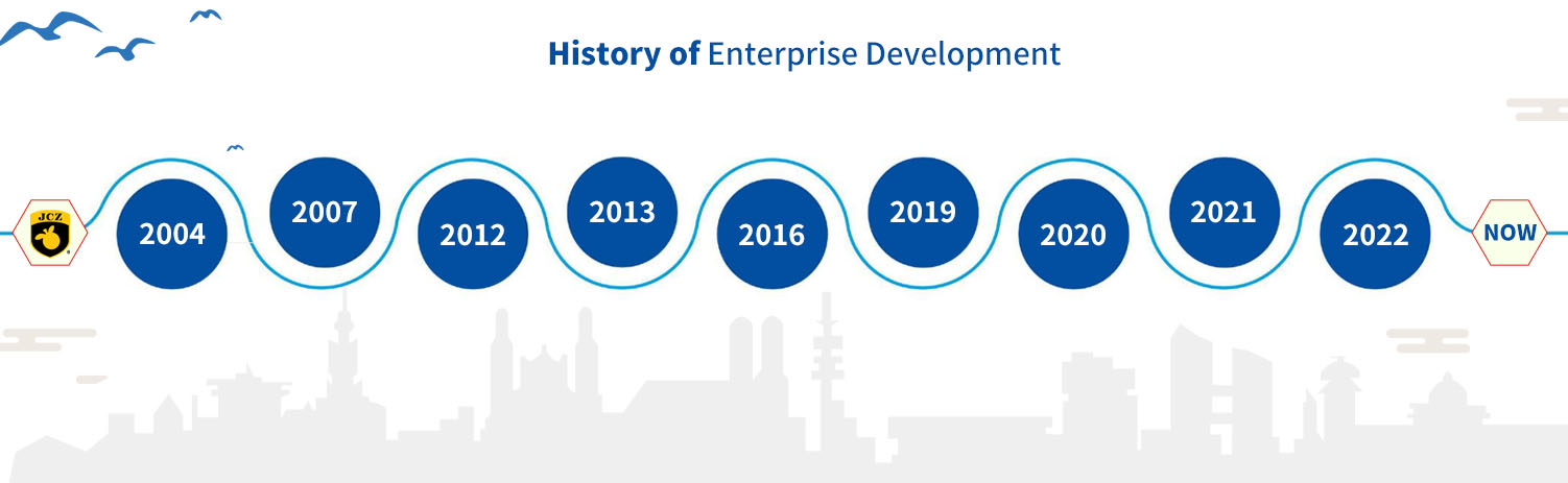 History of Enterprise Development